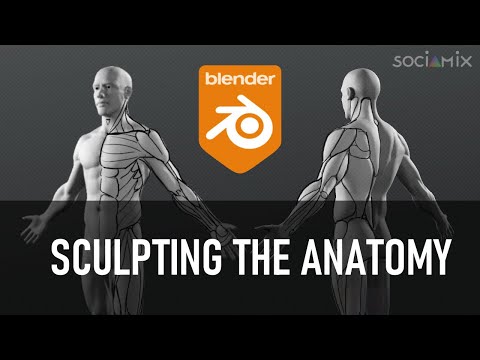 Sculpting the human anatomy in Blender (Full process ! ) - Part 2/2