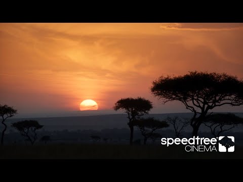 SpeedTree VFX Reel 2020